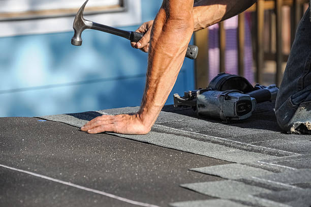 Affordable Storm Damage Roof Repair solutions in Baldwin, MI